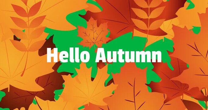 Animation of hello autumn over fall leaves on transparent background