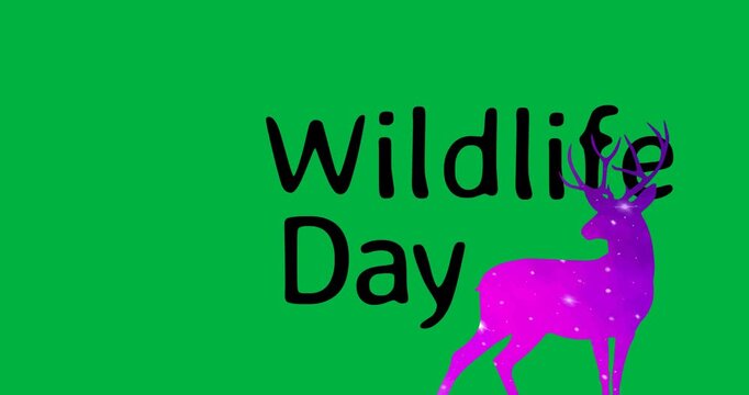 Animation of cartoon deer and wildlife day on transparent background