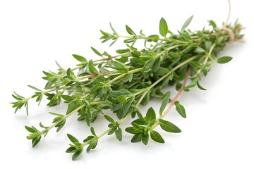 Obraz premium Bunch of fresh herbs are displayed on a white background