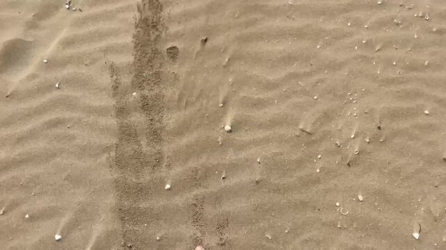 Camminare a piedi nudi sulla sabbia