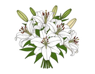 Elegant Hand-Drawn Illustration of White Lilies Bouquet on White Background