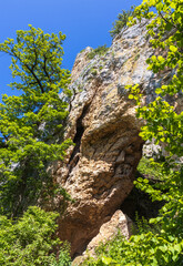 mountainous landscape in summer with flowering vegetation