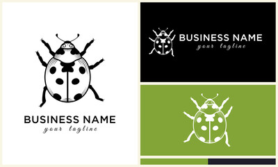 Ladybug logo design with color variations.