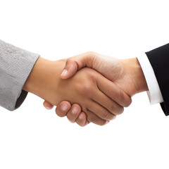 Fototapeta premium Handshake agreement between two people