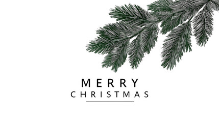 Merry christmas card with pine branch holiday season festive design