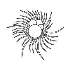 Fototapeta premium Globigerina Protozoa line icon