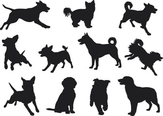 Dog, silhouette, breed, pet, animal, canine, running, sitting, jumping, standing, domestic, playful, pose, vector, black, shape, outline, design, graphic, illustration
