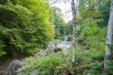 蓼科　おしどり隠しの滝
