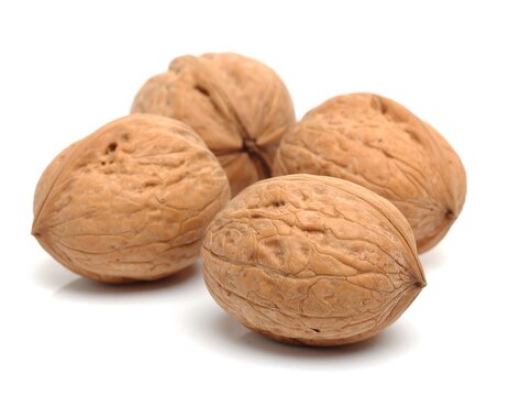Three walnuts on a white background
