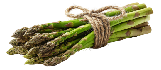 Fresh asparagus tied with twine isolated on transparent background, close up