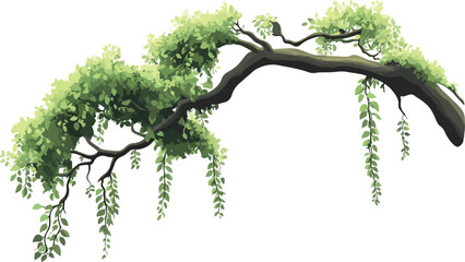 A graceful weeping willow tree branch with lush green leaves and cascading tendrils