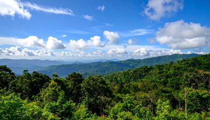 Forested hills under cloudy sky