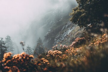 Misty mountain landscape with wildflowers © Harry