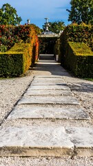 Garden path through greenery