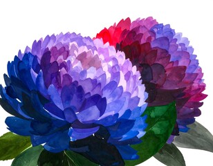 Two vibrant floral blooms in shades of purple and red