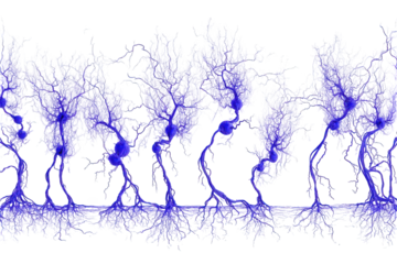 Abstract Digital Representation of Neural Network with Blue Tones on Transparent Background