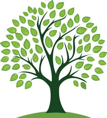 Fototapeta premium Vibrant green deciduous tree with lush foliage on a white background symbolizing growth and nature