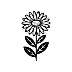 Vector art of black and white daisy flower illustration