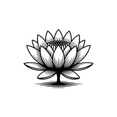 Fototapeta premium Vector art of lotus flower