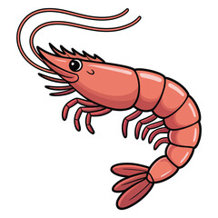 shrimp vector illustration