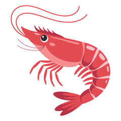 shrimp vector illustration