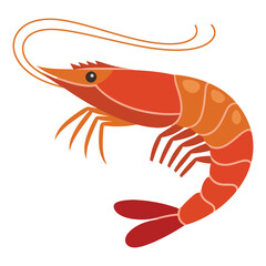 shrimp on white background