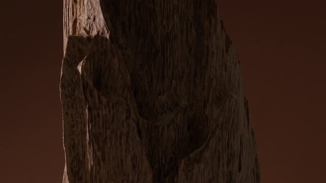 Close-up shot of an agarwood tree trunk, highlighting the texture of the wood's surface. The camera glides gently while the lighting highlights the unique organic details.