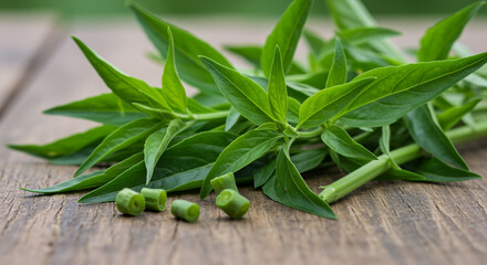 Obraz premium Andrographis Paniculata: Fresh Herb on Wood