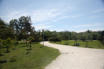 a view of an alley in a natural park with trees growing along the edges