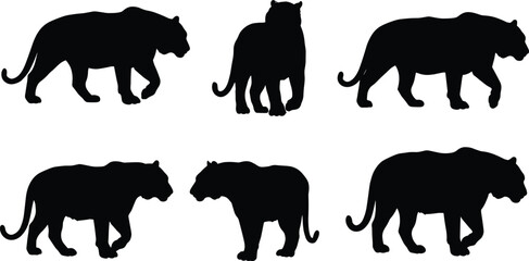 Big cat silhouettes, tiger lion panther illustration, predator wildlife artwork, animal posture design,
