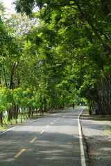 Fresh green lawns in the park. Blur nature bokeh green park trees in morning.