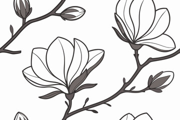 Magnolia white bloom