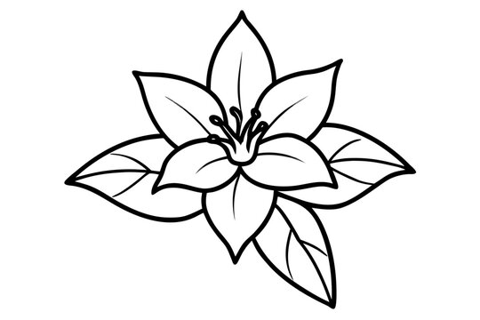 Romduol fragrant blossom