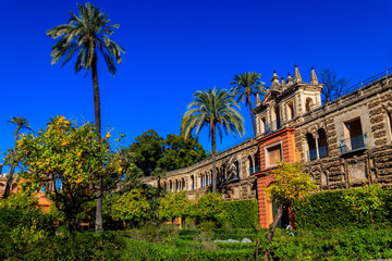 Fototapeta premium Gardens of the Royal Alcazar Palace in Seville, Spain
