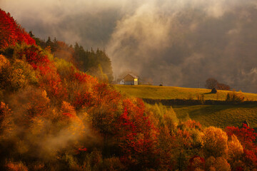 Beautiful rural landscape with colorful autumn trees. Holbav, Romania.	
