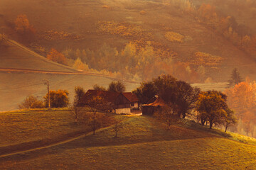 Beautiful rural landscape with colorful autumn trees. Holbav, Romania.	
