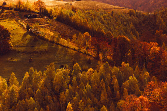 Beautiful rural landscape with colorful autumn trees. Holbav, Romania.	
