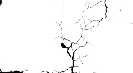 Obraz premium Vector group of black branch grunge cracks isolated on white background