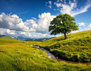 Picturesque landscape of a tree on a hill with a stream and blue sky