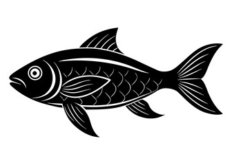 fish isolated on white background