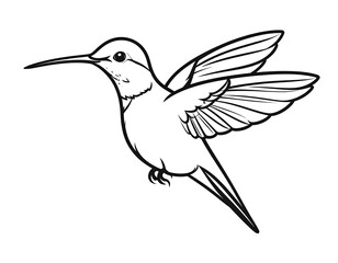 Fototapeta premium Outline of a hummingbird in flight, black lines on white background