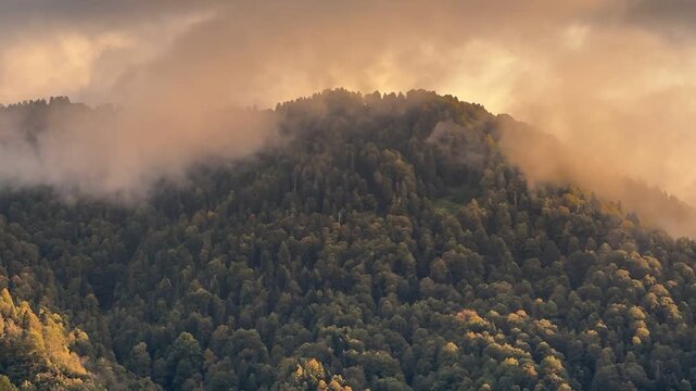 Sunset in the mountains, clouds, and forested mountains