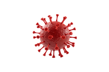 Red spherical virus model with protruding spike proteins displaying detailed viral morphology and surface texture, isolated on a transparent background