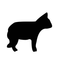 black cat silhouette