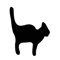 black cat silhouette