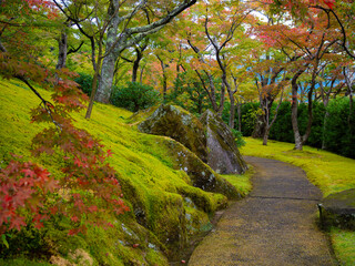 Scenic walkway in Japanese garden with colorful leaves