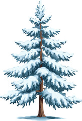 Winter snow covered pine tree illustration, tall evergreen conifer with branches, cold season forest nature, Christmas background, seasonal holiday design, frosty weather, natural landscape vector