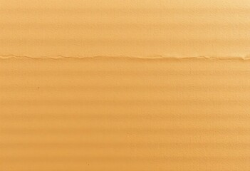 Close-up of a corrugated cardboard box texture, showing fibers and creases, close-up, rough