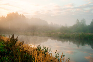 Fototapeta premium a mystical fog enveloped the lake at dawn