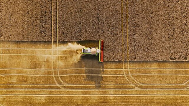 Golden hour aerial of harvester working field highlights fragility of resources